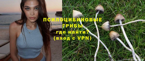 mdpv Козельск