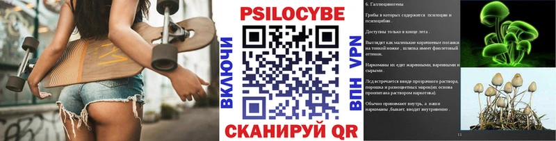 Псилоцибиновые грибы GOLDEN TEACHER  Купить  Гдов 