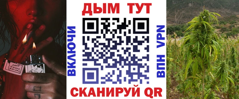 Купить закладки  Гдов  Марихуана THC 21% 